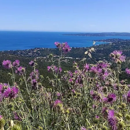 Aphrodite By Kleidos - Tres Belle Maison 6 P Climatisee Golfe Sainte Maxime Roquebrune-sur Argens